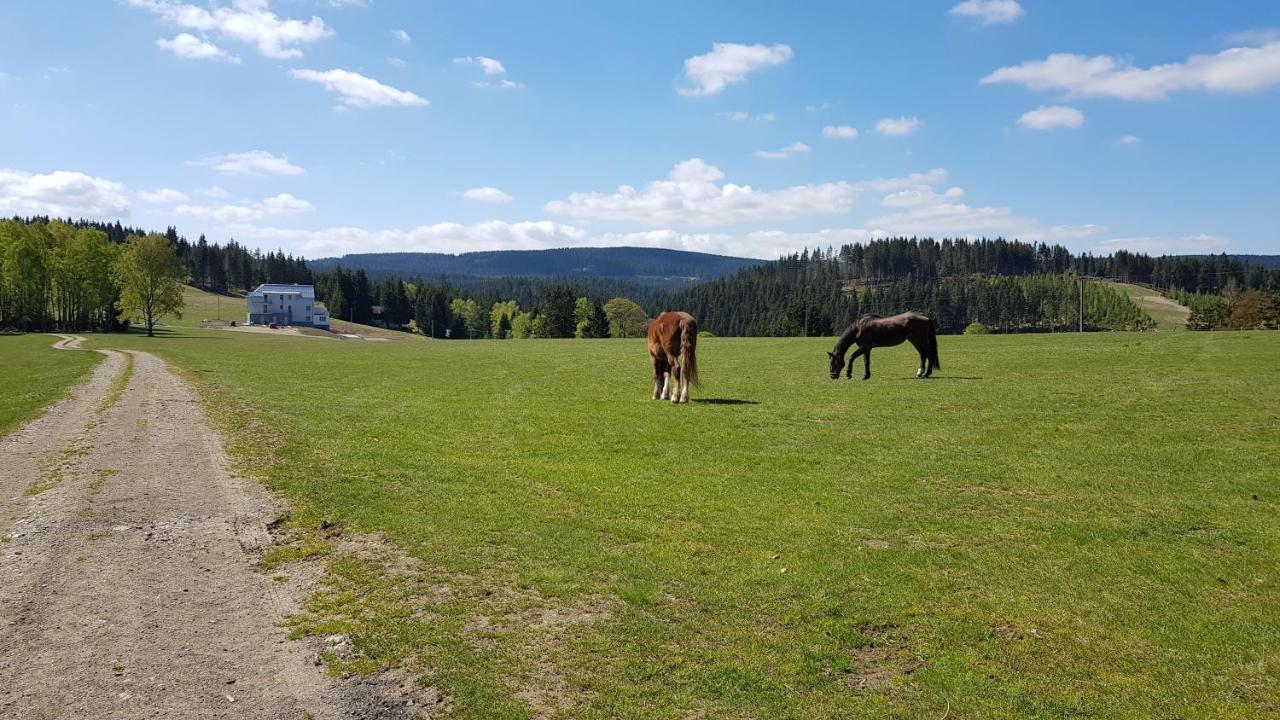 Apartmány Stráň Potucky Exteriér fotografie